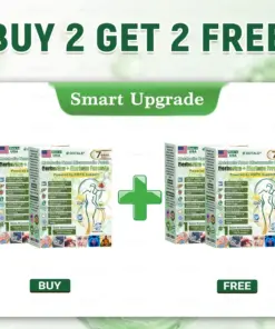DOTALE® NAD+ Moringa Berberine AMPK Support Nano Microneedle Patch